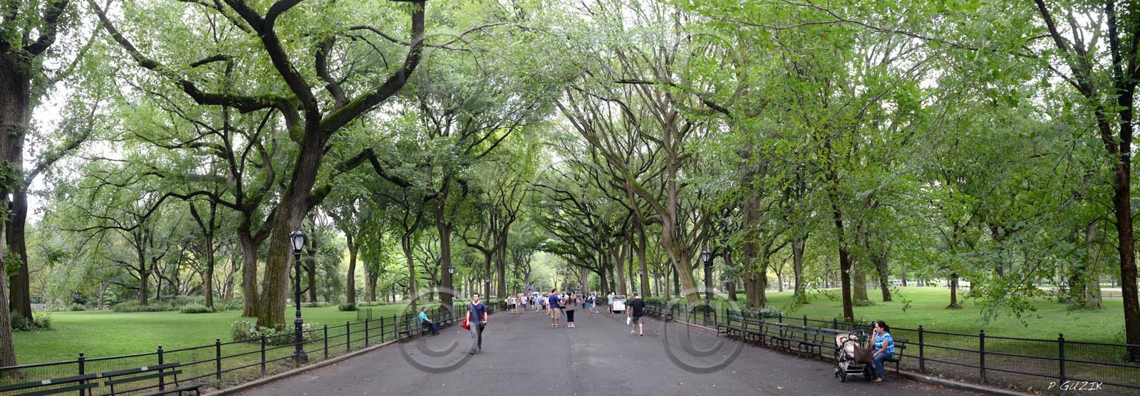 CENTRAL PARK  LITERARY WALK NEW YORK CITY MANHATTAN  New york photo panoramique couleur  FORMAT DISPONIBLE    33X95cm ( et 20X60cm en vente direct uniquement )pas de telechargement disponible.A chaque format correspond une éditions limitée spécifique .© collection P GUZIKA titre indicatif suivant la finition, tarif encadré vente direct:150 x 52 cm 180€ non disponible33   x 95 cm   99€20   x 60 cm   39€disponible en  30 X10 cm  sur stand en vente directDISPONIBLE SUIVANT STOCK -  CRÉATION JOURNALIERE  -