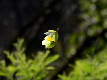 MISE A  JOUR  en cours