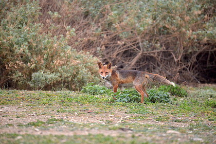 MISE A  JOUR  en cours