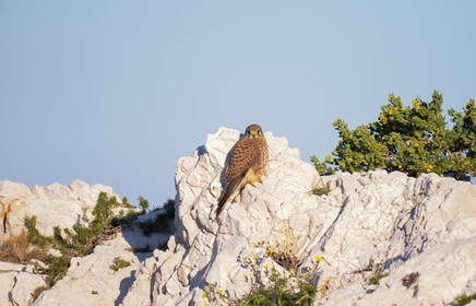 MISE A  JOUR  en cours