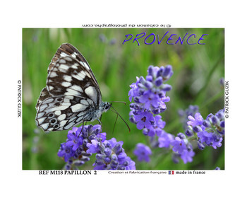REF M118- Lavande et papillon demi-2-2025-8054.jpg