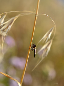 MISE A  JOUR  en cours