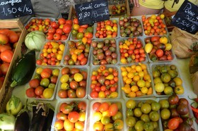 ref-589-marche-provence-tomate-50x75-0569.jpg