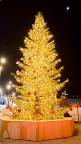 Marche de Noel de Marseille