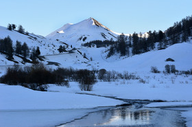 col-de-vars-haute-alpes-de-provence-bouquetin-1213.jpg