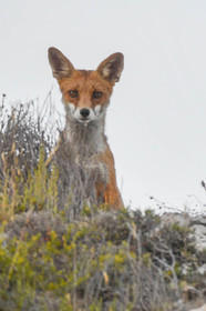 MISE A  JOUR  en cours