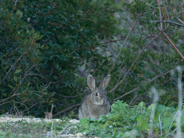 MISE A  JOUR  en cours