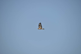 cam_2135-copie.jpg