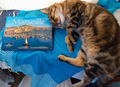 MARCHÉ D'ÉTÉ SUR LA CANEBIÉRE  2024