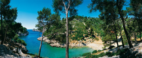 POUR VALENCE  ,    PORT PIN 145 x 60 cm