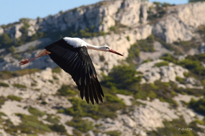 MISE A  JOUR  en cours