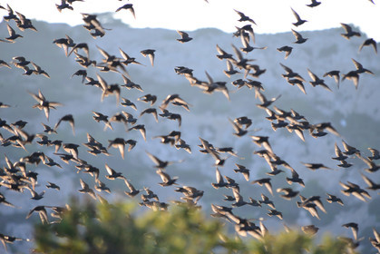 MISE A  JOUR  en cours