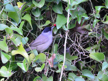 MISE A  JOUR  en cours