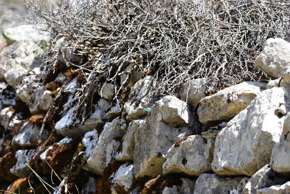 MISE A  JOUR  en cours