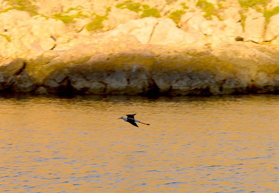 quelques part dans les calanques