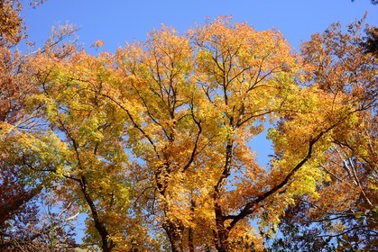 Photo de la sainte baume