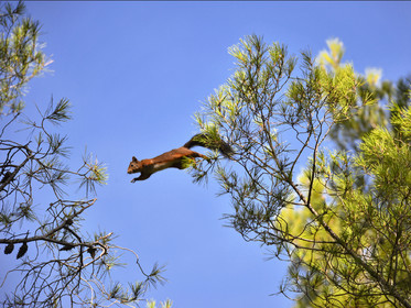 MISE A  JOUR  en cours