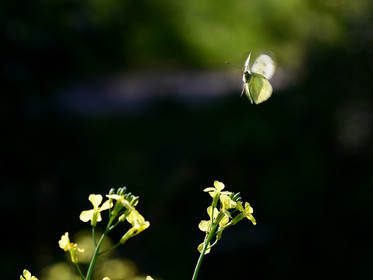 MISE A  JOUR  en cours