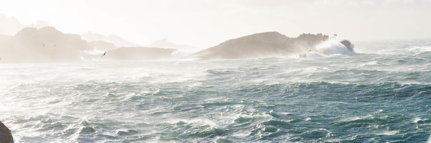 marche de noel de marseille 2019   2020