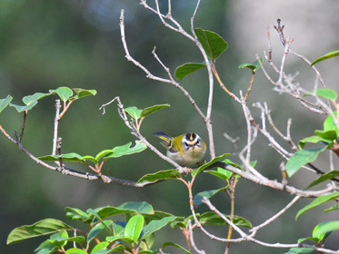 MISE A  JOUR  en cours