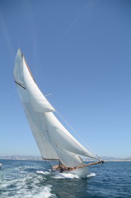 voile-vp-2012-2151.jpg