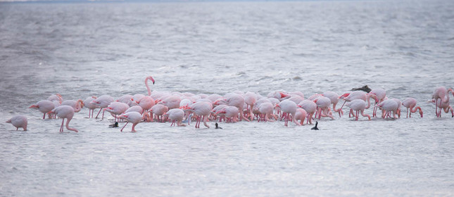 MISE A  JOUR  en cours