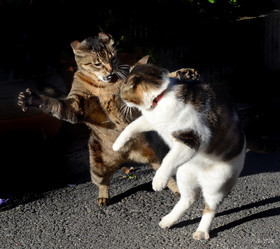 ref-samy-et-isis-jeux-14-copie.jpg