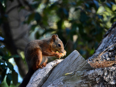 MISE A  JOUR  en cours