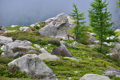 MISE A  JOUR  en cours