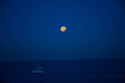 Éclipse lunaire du 21 janvier 2019 dans