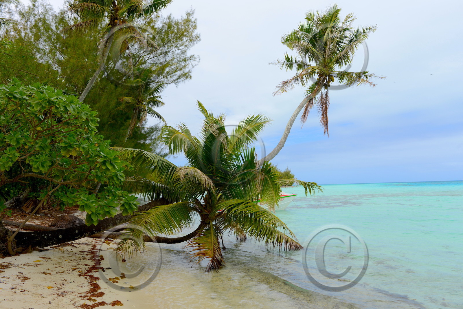 PACIFIQUE SUD