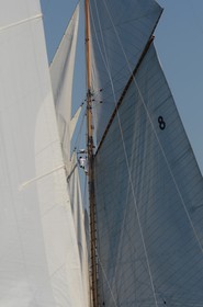voile-vp-2012-2449.jpg