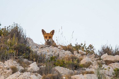 MISE A  JOUR  en cours