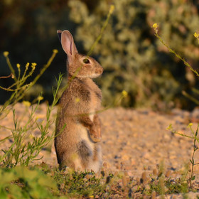 MISE A  JOUR  en cours
