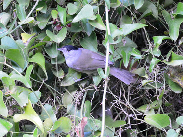 MISE A  JOUR  en cours