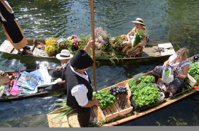 ref-936-provence-marche-flottant-isle-sur-la-sorgues-75x50-cm-marche-flottant-8360.jpg