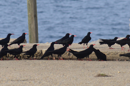 MISE A  JOUR  en cours