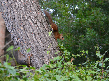 MISE A  JOUR  en cours