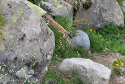 MISE A  JOUR  en cours