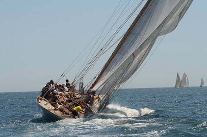 voile-vp-2012-2125.jpg