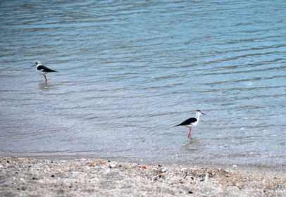 MISE A  JOUR  en cours