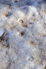 MISE A  JOUR  en cours