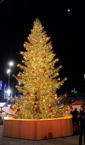 nov_9663-copie.jpg