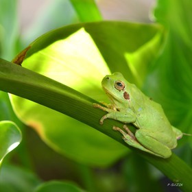 MISE A  JOUR  en cours