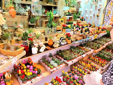 À MARSEILLE,  MARCHÉ D'ÉTÉ SUR LA CANEBIÉRE ,   TOUS LES JOURS  JUILLET & AOUT  2024  DE 11H À 23H