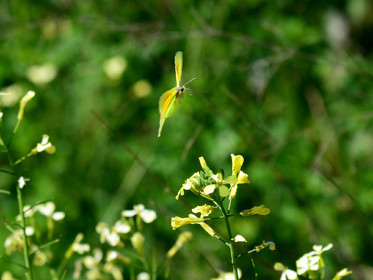 MISE A  JOUR  en cours