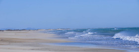 CAMARGUES HIVERS