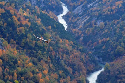 MISE A  JOUR  en cours