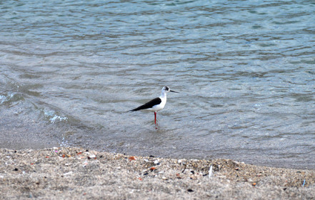 MISE A  JOUR  en cours