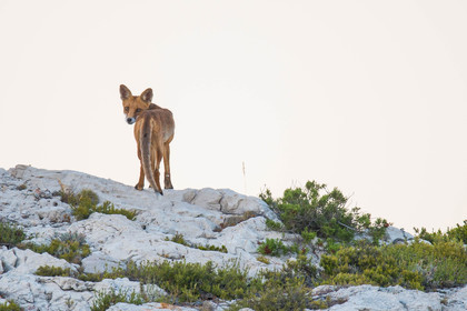 MISE A  JOUR  en cours